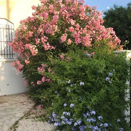 Au Centre De Casa de Férias