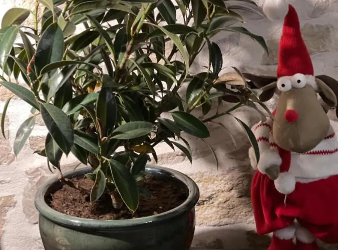 Au Centre De Holiday home Nimes