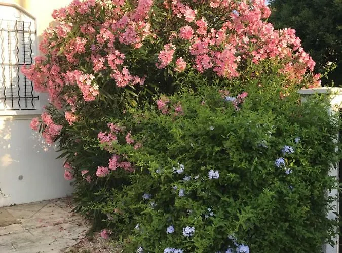 Au Centre De Holiday home